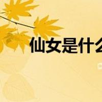 仙女是什么意思啊（仙女是什么意思）