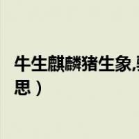牛生麒麟猪生象,骡子生个四不像（牛生麒麟猪生象是什么意思）