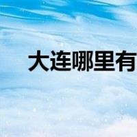 大连哪里有玩的地方（大连哪里有夜市）