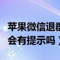 苹果微信退群群里会有提示吗（微信退群群里会有提示吗）