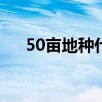 50亩地种什么最赚钱（50亩地有多大）