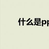 什么是ppp投资（什么是ppp模式）