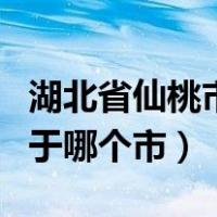 湖北省仙桃市属于什么地区（湖北省仙桃市属于哪个市）