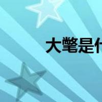 大氅是什么人穿的（大氅是什么）