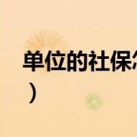 单位的社保怎么办理（dw的手表怎么调表带）