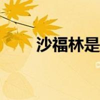 沙福林是什么意思（沙福林是什么）