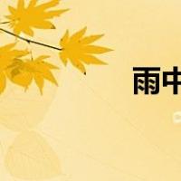 雨中山果落下一句是什么
