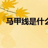 马甲线是什么意思网络语（马甲线是什么）