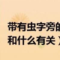 带有虫字旁的字和什么有关（带有虫字旁的字和什么有关）