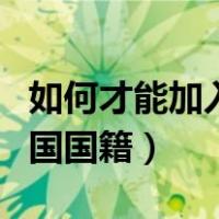 如何才能加入中介劳务公司（如何才能加入中国国籍）