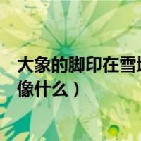 大象的脚印在雪地里踩出来像什么（大象在雪地里踩的脚印像什么）