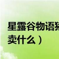 星露谷物语猪车几点到几点（星露谷物语猪车卖什么）
