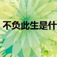不负此生是什么意思（不负此生是什么意思）