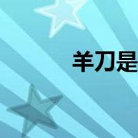 羊刀是什么（羊刀是什么装备）