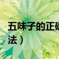 五味子的正确泡水方法（五味子的正确泡水方法）