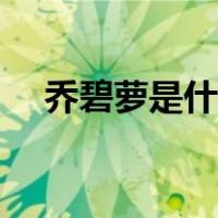 乔碧萝是什么东西（乔碧萝是什么梗呀）