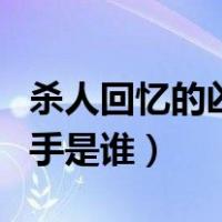 杀人回忆的凶手是不是朴兴圭（杀人回忆的凶手是谁）