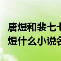 唐煜和裴七七的故事全文免费阅读（裴七七唐煜什么小说名）