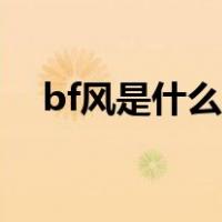 bf风是什么意思中文（bf风是什么意思）