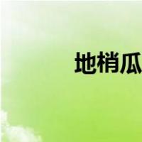 地梢瓜别名（地稍瓜有什么用）