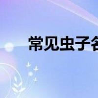 常见虫子名称（虫子的名称都有哪些）