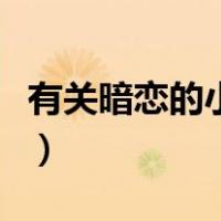 有关暗恋的小说晋江文学城（有关暗恋的小说）