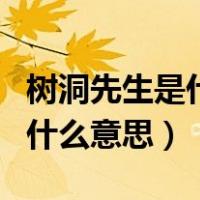 树洞先生是什么意思?起源是什么?（树洞先生什么意思）