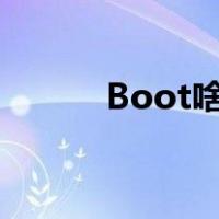Boot啥意思（bootp什么意思）