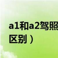 a1和a2驾照的区别视频讲解（a1和a2驾照的区别）
