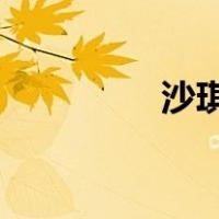 沙琪玛是哪个民族的食品