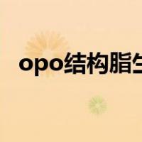 opo结构脂生产工艺（opo结构脂是什么）