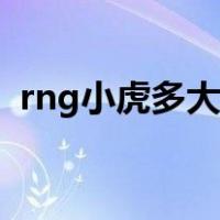 rng小虎多大年纪（rng小虎哪一年出生的）