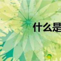 什么是suv车（什么是SL大法）