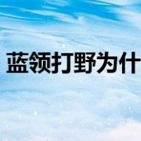 蓝领打野为什么叫蓝领（蓝领打野什么意思）