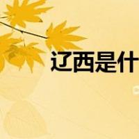 辽西是什么意思（辽西是什么地方）