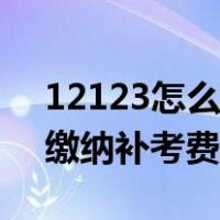 12123怎么缴纳非机动车罚款（12123怎么缴纳补考费）