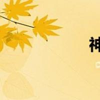 神威太湖之光是什么