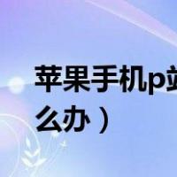 苹果手机p站app进不去（p站app进不去怎么办）