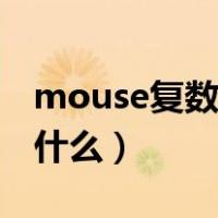 mouse复数形式怎么读（mouse复数形式是什么）