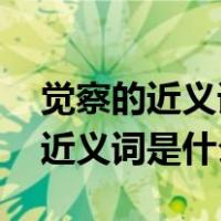 觉察的近义词是什么 标准答案（请问觉察的近义词是什么）