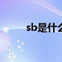 sb是什么元素呢（sb是什么元素）