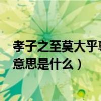 孝子之至莫大乎尊亲的意思是什么（孝子之至莫大乎尊亲的意思是什么）