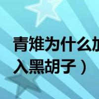 青雉为什么加入黑胡子海贼团（青雉为什么加入黑胡子）