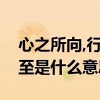 心之所向,行之所至的意思（心之所向行之所至是什么意思）