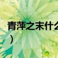 青萍之末什么意思近义词（青萍之末什么意思）