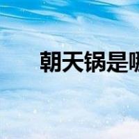 朝天锅是哪里（朝天锅是哪里的名吃）