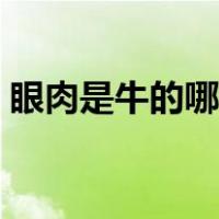 眼肉是牛的哪个部位（眼肉是牛的哪个部位）