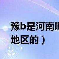 豫b是河南哪个地方的车牌（豫B是河南哪个地区的）