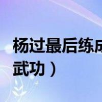 杨过最后练成了什么武功（杨过一生练过什么武功）