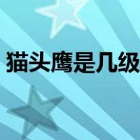 猫头鹰是几级保护动物（鹰是几级保护动物）